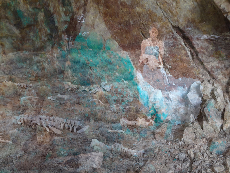 In front of a backdrop of beige and rust cliffs streaked with turquoise deposits, bleached animal bones lie scattered among dry grass and crumbled rock.  In the foreground is a large spine from some long-dead creature.  At the left side of the photo, the artist has superimposed a self-portrait.  She is translucent, her strapless blue ballgown merging with the turquoise in the rockface.  Her hair is straight and informal, her face is cast down to look at the large animal skull she holds in her hands.  She appears tired and thin, ghostlike.