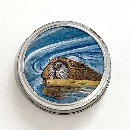 A brown beaver with white moustache swims toward us in a swirl of blue water, dragging a stick in its mouth.