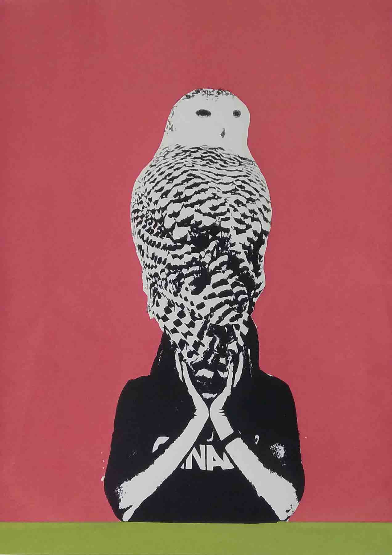 Against a warm pink background is the black and white print of the upper body of a person with their hands in front of their face. Startlingly, a giant snowy owl is perched atop the person’s hands, obscuring their face entirely, so that in effect the face is replaced by owl. The owl’s head is swiveled backwards, its even gaze is affixed somewhere over the viewer’s shoulder. The black and white markings of its feathers provide an interesting visual texture that draws attention.