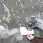 This is a photo of Kaitlyn Beugh's artistic process in action. From the bottom right corner, an arm reaches into view, holding a white sheet of paper over a sandy ocean shore. It is charged with black charcoal ink as the sudsy waves lap onto it, forming a print.