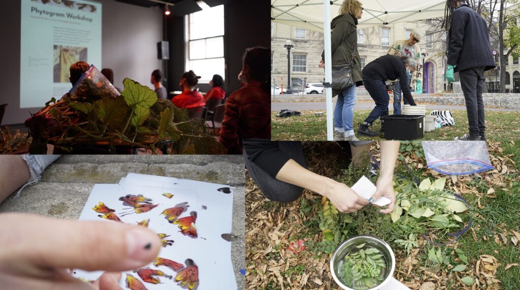 This image consists of four photographs. The first in the upper left corner, is a photo of a group of people watching a workshop. The image to the right is of four individuals working on a project outdoors. The lower left image is of colourful leaves on white paper. The lower right image is of a person crouched over a pot of water filled with leaves.